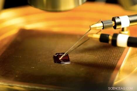 Clean Carbon Nanotubes: Unlocking Superior Performance for Advanced Electronics