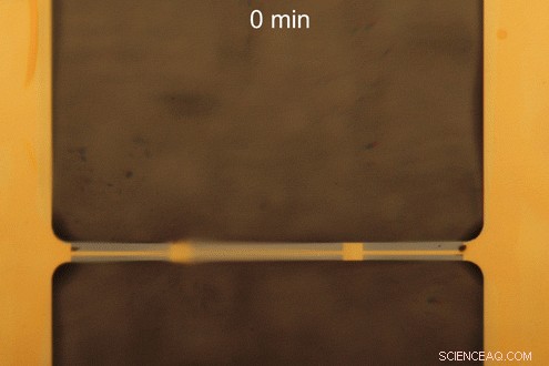 Controlling Quantum Materials with Hydrogen Gas Actuation