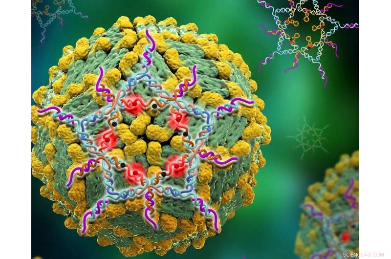 DNA Star Nanostructure Enables Ultra‑Sensitive Detection of Dengue Virus