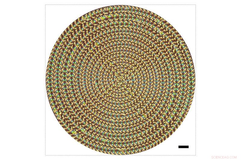 Enhanced 4‑D Imaging with Liquid‑Crystal Microlenses