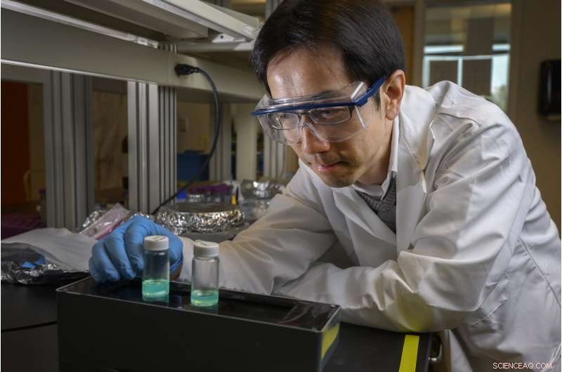 Enhanced Durability of Perovskite Nanocrystals with Protective Plastic and Silica Coatings