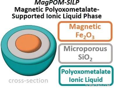Innovative Magnetic Nanoparticle–Ionic Liquid System for Efficient Water Purification