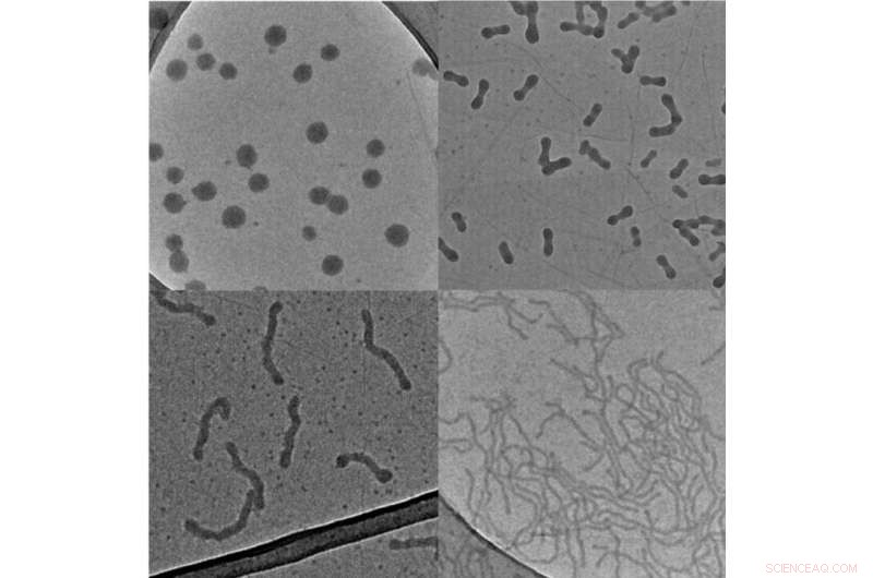 Innovative Technique Enables Precise Nanoparticle Fabrication for Advanced Drug Delivery