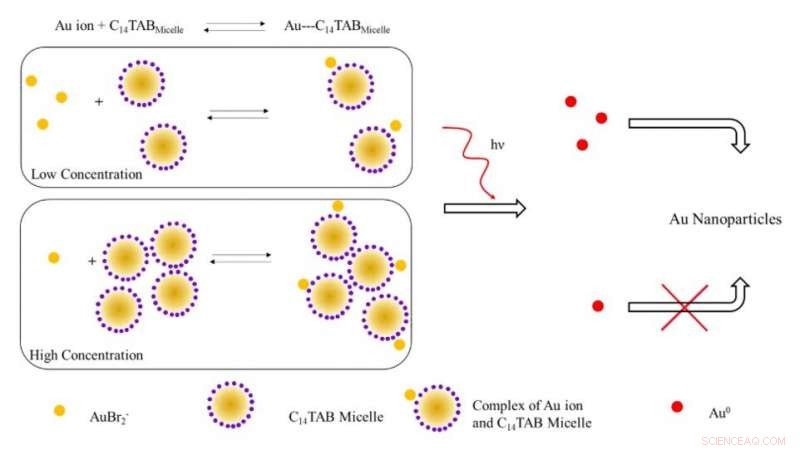 Mapping Radiation Dose Distributions with Gel-Based Nanosensors for Precise Topographical Analysis