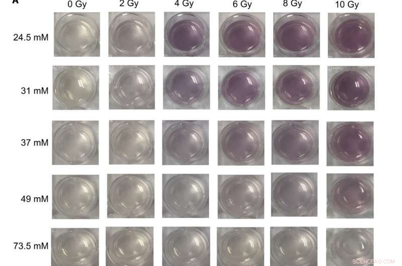 Mapping Radiation Dose Distributions with Gel-Based Nanosensors for Precise Topographical Analysis