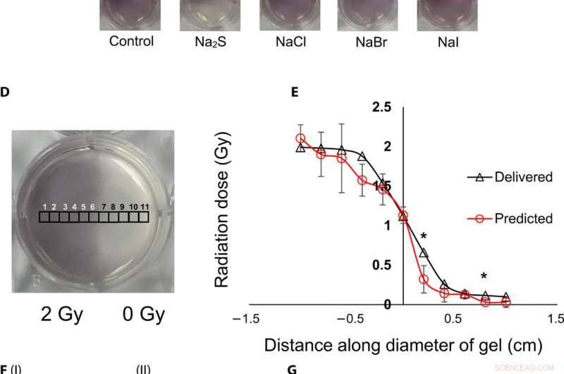 Mapping Radiation Dose Distributions with Gel-Based Nanosensors for Precise Topographical Analysis