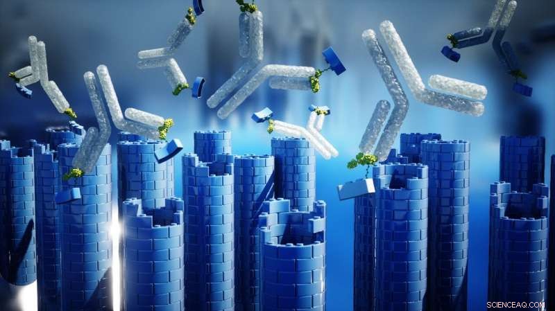 Harnessing Antibodies to Assemble Tubular DNA Nanostructures