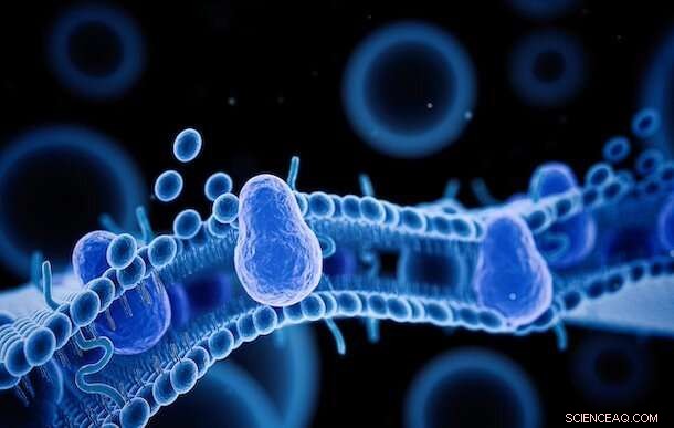 Advanced Protocells Mimic Natural Cell Motility with Enzymatic Activity