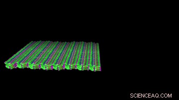 Scientists Freeze Artificial Proteins: Atomic-Scale Imaging of Peptoid Nanosheets