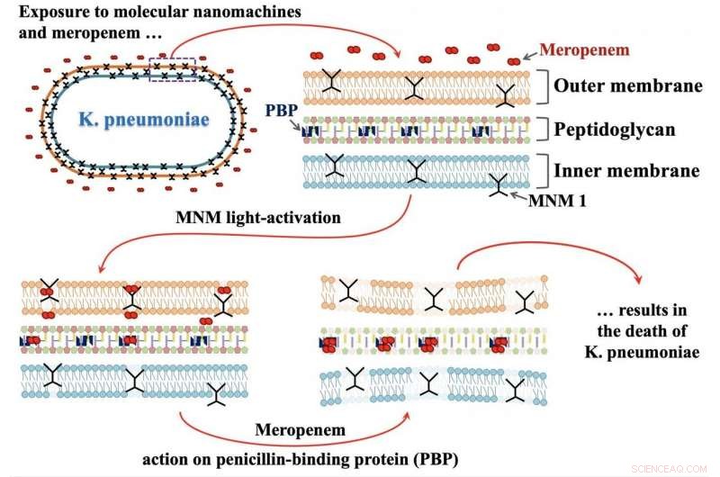 Light-Activated Nanomachines Target and Destroy Antibiotic-Resistant Superbugs