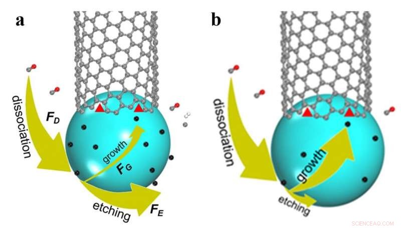 Optimizing Carbon Nanotube Growth: Precision Twisting for Enhanced Performance