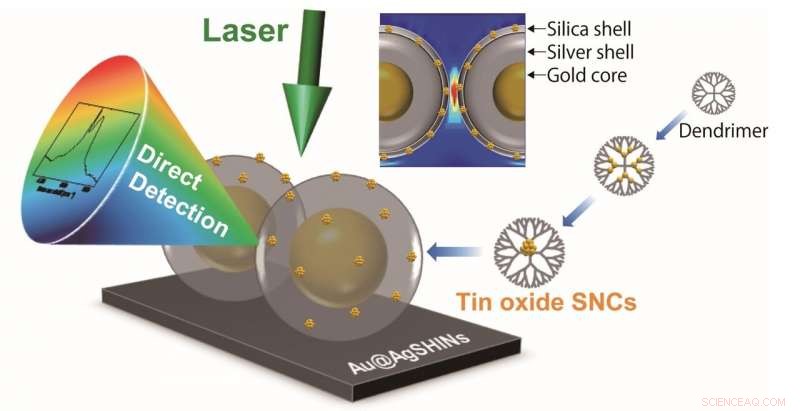 Nanoscience Breakthrough: Detecting Sub‑Billionth‑Meter Particles with Enhanced Raman Imaging