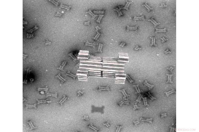 Scientists Engineer DNA-Based Nanopores for Selective Macromolecule Transport