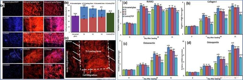 Plasma‑Ionized 3‑D Titania Nanofiber Webs Boost Biomaterial Bioreactivity & Osteoconductivity