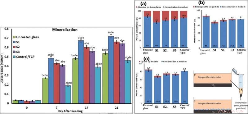 Plasma‑Ionized 3‑D Titania Nanofiber Webs Boost Biomaterial Bioreactivity & Osteoconductivity