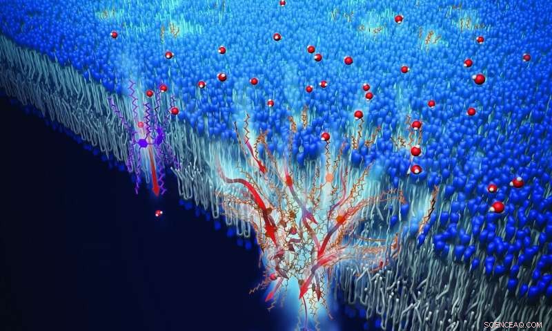 Innovative Water-Channel Design Mimics Human Physiology for Advanced Filtration