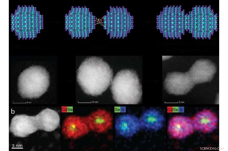 Scientists Merge Quantum Dots to Create Novel Molecular Structures