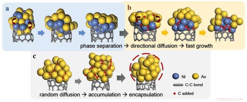 Alloy Nanoparticles Outperform Monometallic Catalysts for Carbon Nanotube Growth