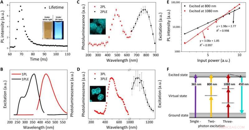 FeSe Quantum Dots: One‑Pot, Water‑Soluble Platform for Multiphoton In‑Vivo Biomedical Imaging