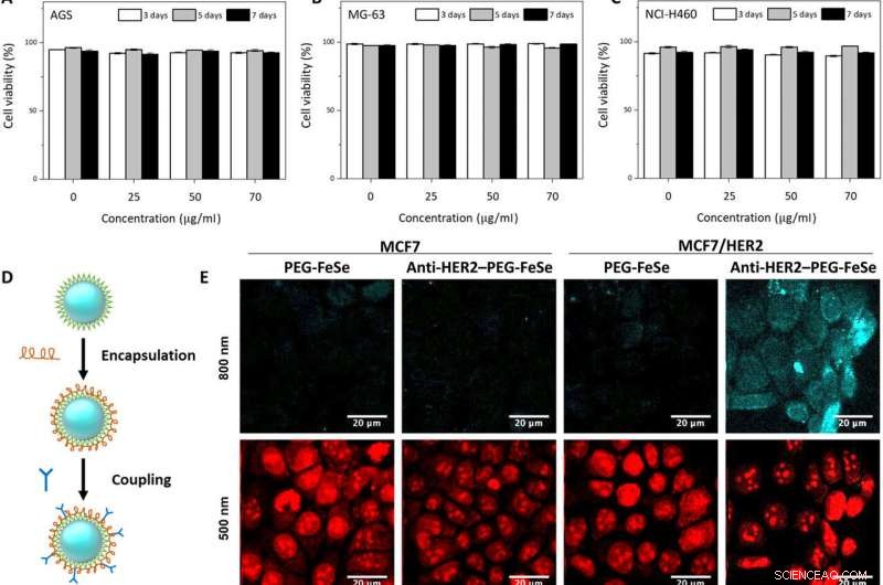 FeSe Quantum Dots: One‑Pot, Water‑Soluble Platform for Multiphoton In‑Vivo Biomedical Imaging