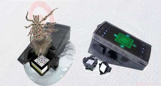 New Paper-Based Test Enables Early Diagnosis of Lyme Disease