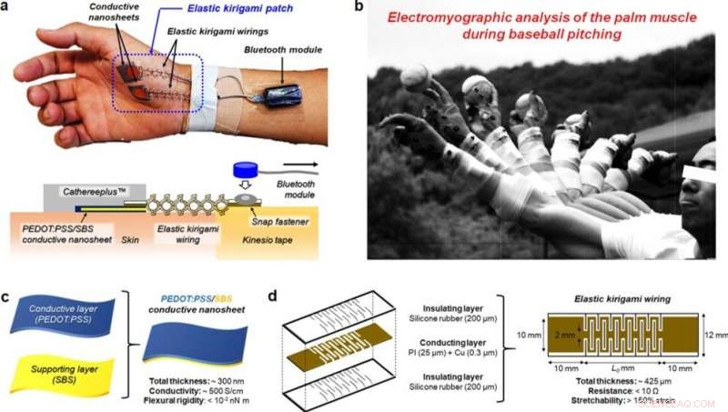 Advanced Elastic Kirigami Patch Enables Precise sEMG Analysis of Palm Muscles in Baseball Pitchers