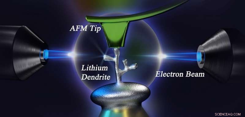 New Imaging Technique Reveals Lithium Dendrite Growth, Advancing Safer Battery Design