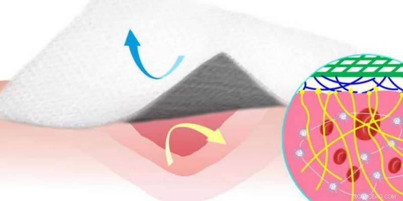 Silicone‑Coated Carbon Nanofiber Bandage Stops Bleeding Without Sticking