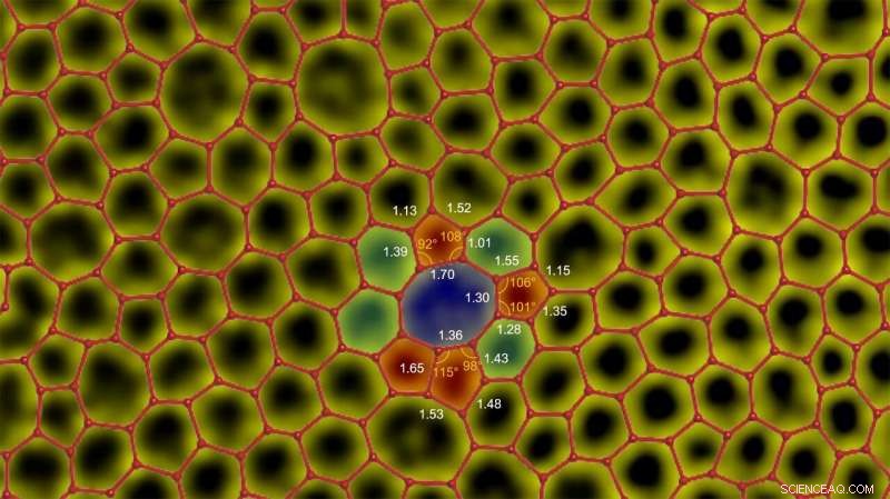 Amorphous Carbon Monolayer Experiments Deliver New Evidence in Physics Debate