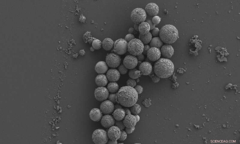 Liquid Metal Nanoparticles Target and Destroy Drug‑Resistant Bacteria Safely