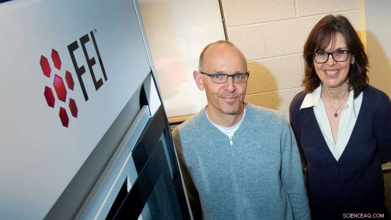 New Nano-Engineering Technique Boosts Exploration and Scalability of Next-Gen Electronics