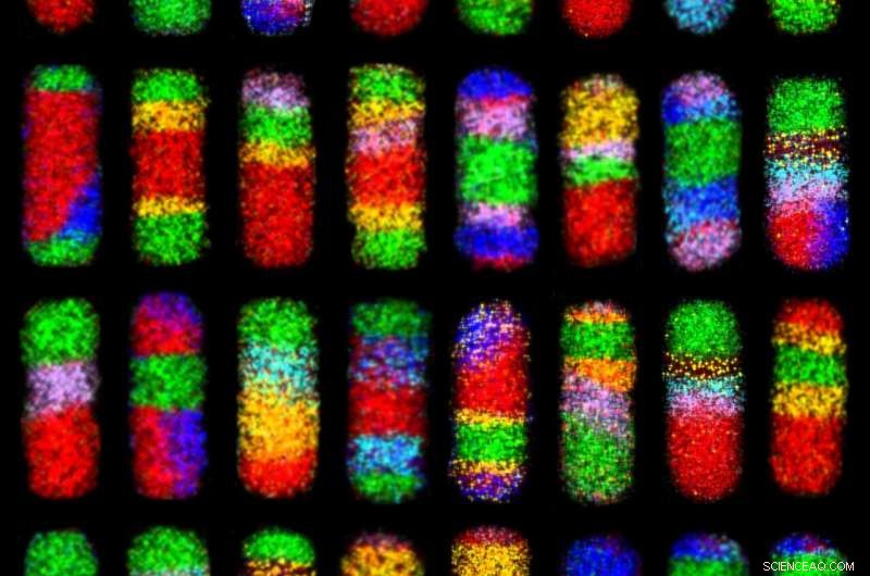 65,000+ Modular Nanorods Created by a Simple, Scalable Chemical Approach