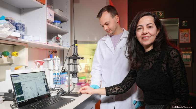 Portable Biosensor Accelerates Sepsis Diagnosis, Enhancing Patient Outcomes