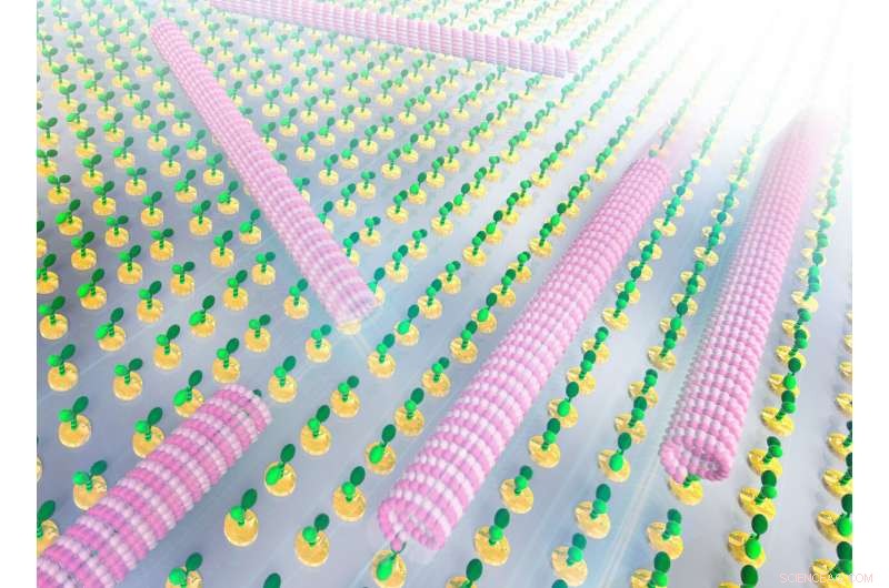 New Nano-Patterning Technique Uncovers Diverse Coordination Among Molecular Motors