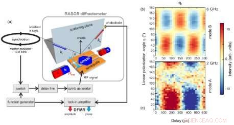 Unveiling Picosecond Magnetization Dynamics of Spin Modes via Diffractive Ferromagnetic Resonance