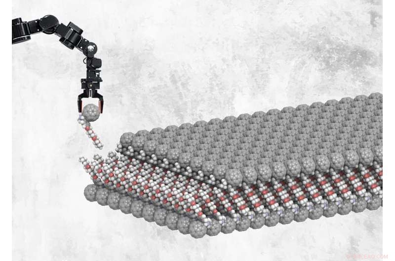 New Air‑Resistant Self‑Assembled Monolayer Enhances Durable Functional Coatings