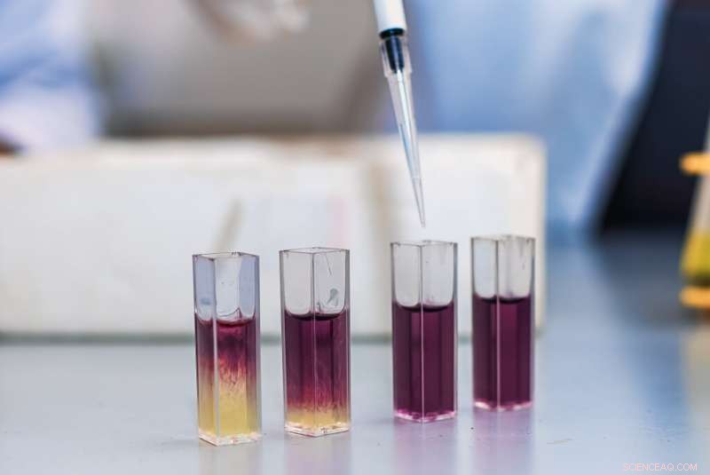 New Hybrid Microscopy-Photoemission Method Maps E. coli Cell Surfaces