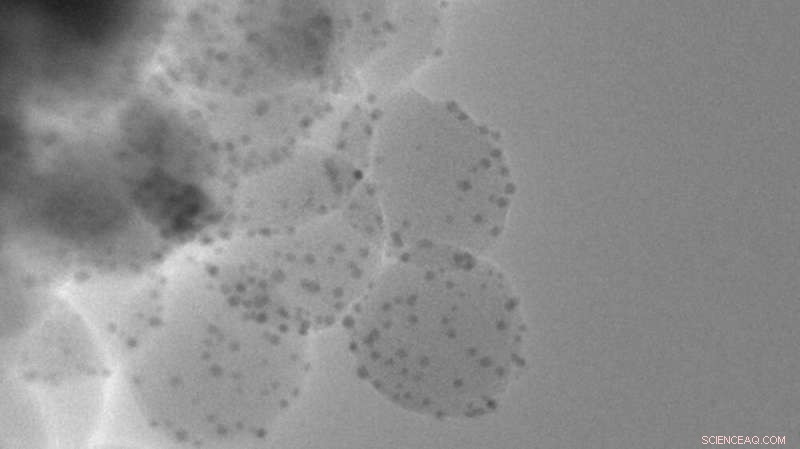 Phage‑Mimicking Nanoparticles Offer New Hope Against Antibiotic‑Resistant Bacteria
