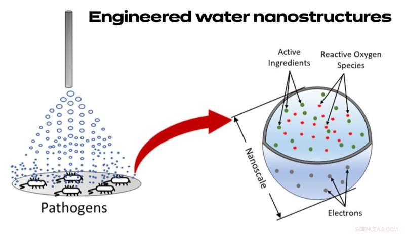 Harvard Scientists Develop Advanced Disinfection Technology That Outperforms Soap and Water