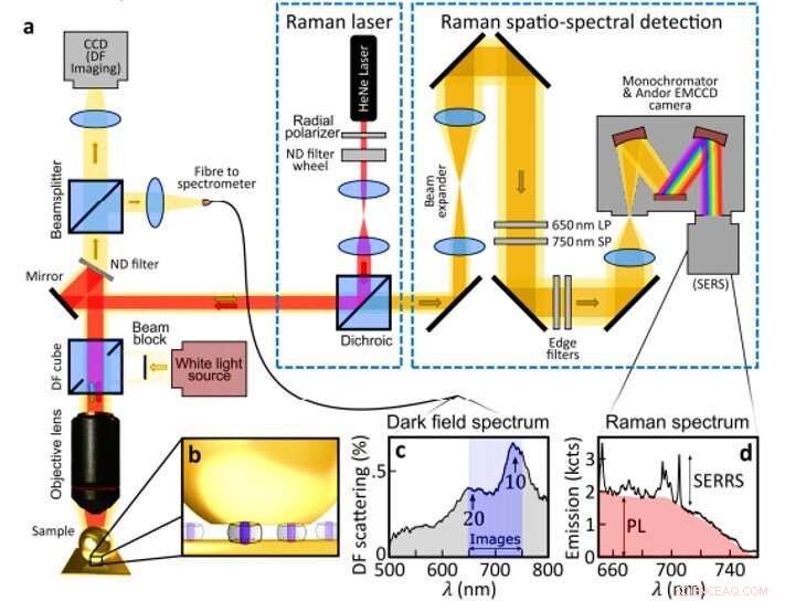 Revealing Nanoscale Detail with a Plasmonic Nanolens