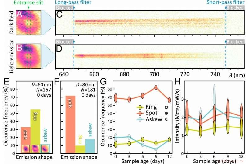 Revealing Nanoscale Detail with a Plasmonic Nanolens