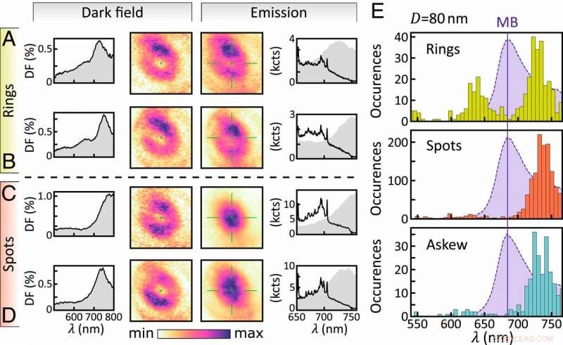 Revealing Nanoscale Detail with a Plasmonic Nanolens