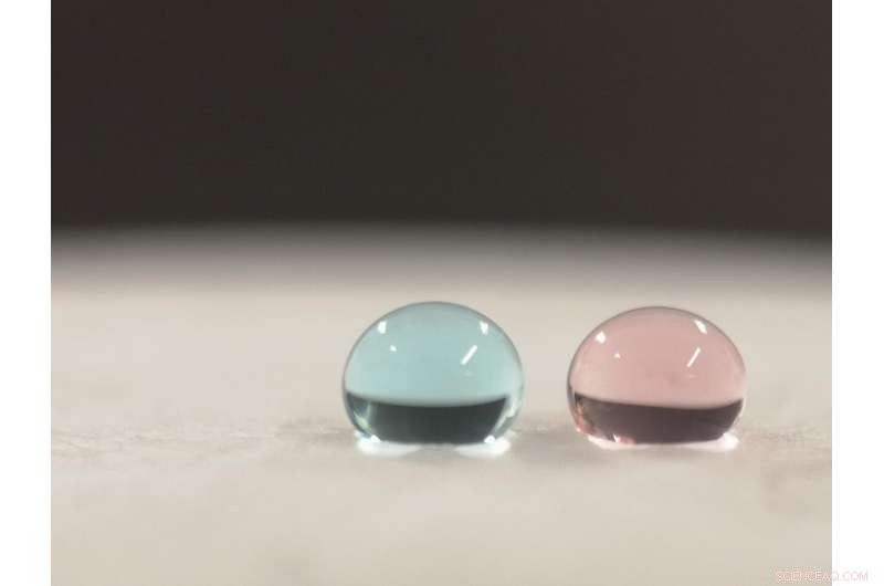 Revolutionary Bio‑Fibres: Turning Crab Shells & Seaweed into Strong, Antimicrobial Yarns for Sustainable Textiles