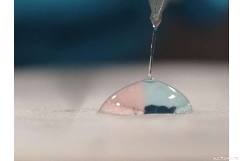 Revolutionary Bio‑Fibres: Turning Crab Shells & Seaweed into Strong, Antimicrobial Yarns for Sustainable Textiles