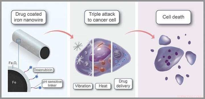 Iron Nanorobots Demonstrate Powerful Targeted Cancer Therapy