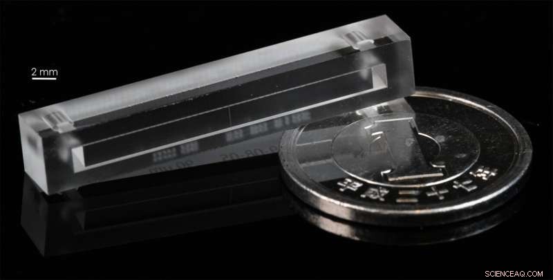 Microfluidics and Biophysics: Exploring Human Joint Fluids at the Microscopic Scale