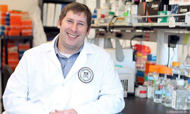 Nanoparticles from Coal Combustion Cause Lung Damage in Mice, Indicating Human Toxicity