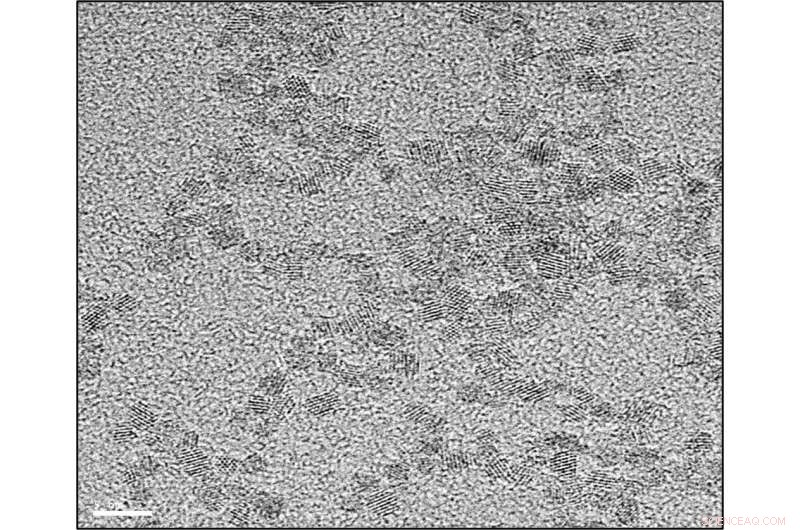 Cerium Oxide Nanoparticles Show Promise in Enhancing Hepatocellular Carcinoma Outcomes