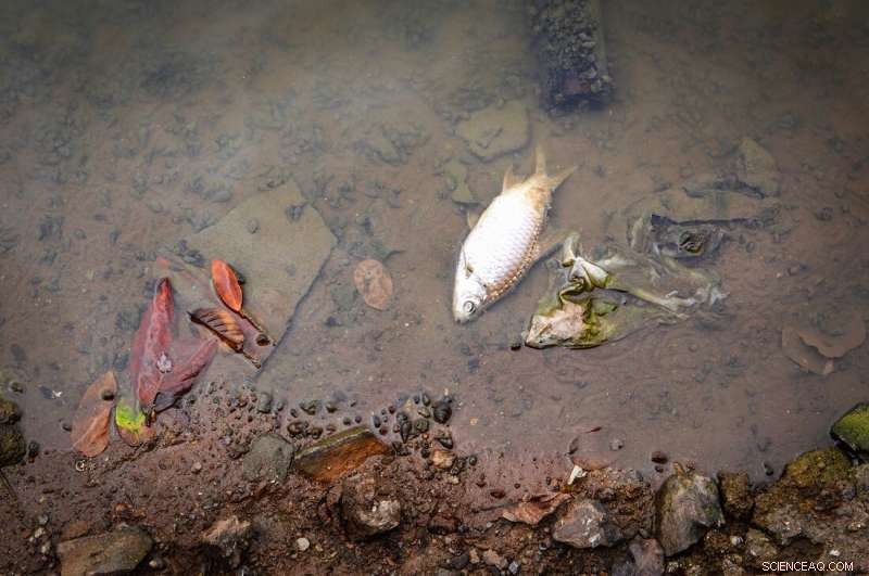 Tracking Water Pollution Sources with Synthetic DNA-Infused Sand