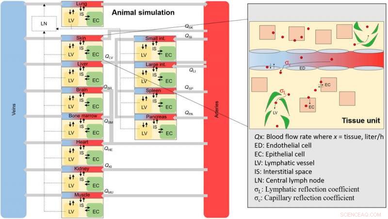 Nanomaterial Transport to Target Cells: Simulating Smart Drug Delivery in Multi‑Cell Assays